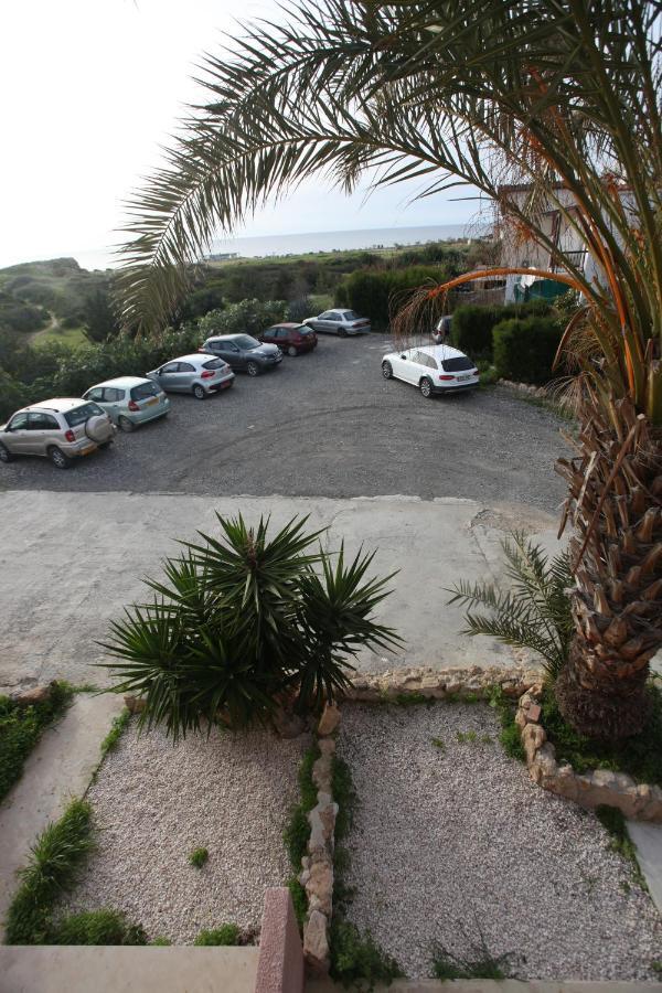 Ariadne Apt 103 -300M From Lighthouse Beach Paphos ภายนอก รูปภาพ